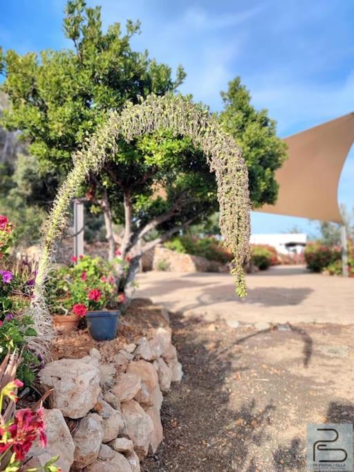 Casa Can Lluc Con Piscina, Jardin Y Vista Al Campo Sant Miquel De Balansat Exterior foto