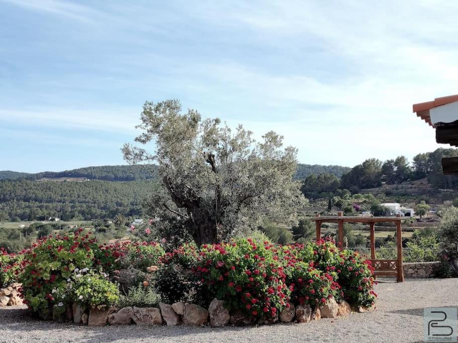 Casa Can Lluc Con Piscina, Jardin Y Vista Al Campo Sant Miquel De Balansat Exterior foto