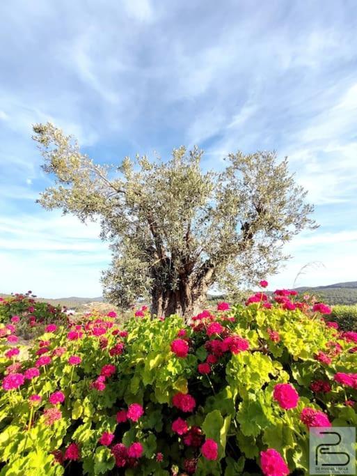 Casa Can Lluc Con Piscina, Jardin Y Vista Al Campo Sant Miquel De Balansat Exterior foto